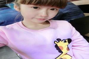 口袋妖怪金怪力在哪里拿